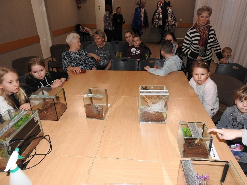 Małkinia Górna. Pożegnali ferie z… pająkami i skorpionem, 21.02.2020. Najmłodszy terrarysta spotkał się z dziećmi w GOKiS. Zdjęcia i wideo