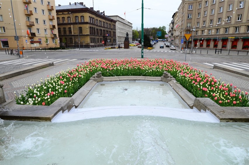 - Byliśmy już świadkami, że młodzież pływała w fontannach na...