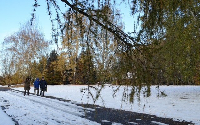 Zimą Ogród Botaniczny jest zamknięty dla zwiedzających, spacer w zimowej scenerii to nie lada gratka. A taka nadarza się w niedzielę 21 stycznia.