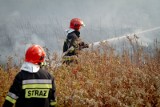 Wypalanie traw. Za takie praktyki rolnik może stracić dopłaty. A nawet trafić do więzienia