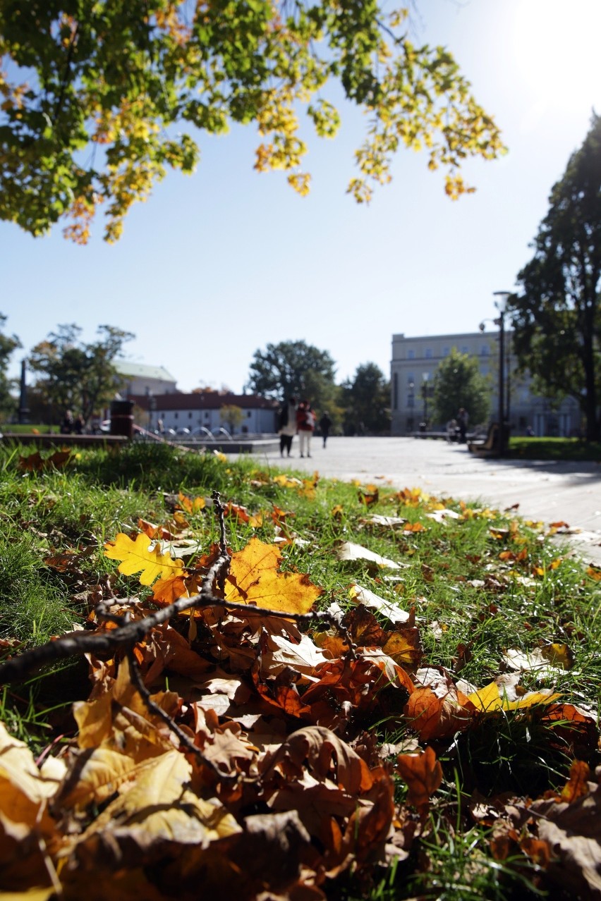 Słoneczna jesień w Lublinie. Zobacz piękno naszego miasta!                   
