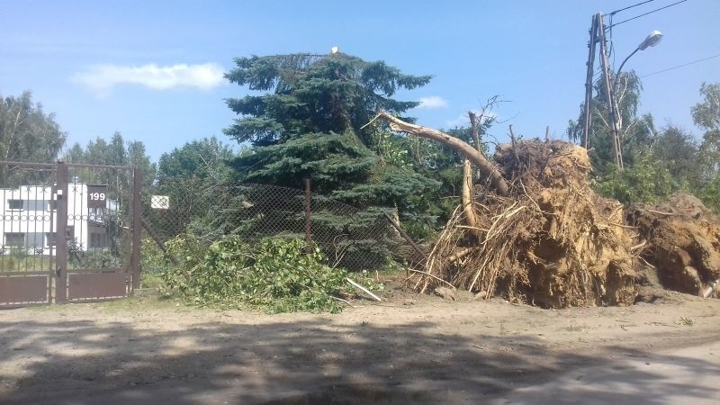 BURZA W ŁÓDZKIEM, BURZA W ŁODZI, BURZAS W ŁODZI, GDZIE JEST...