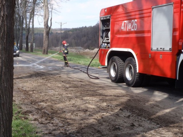 Strażacy usuwali ptasie łajno z drogi wojewódzkiej nr 214.