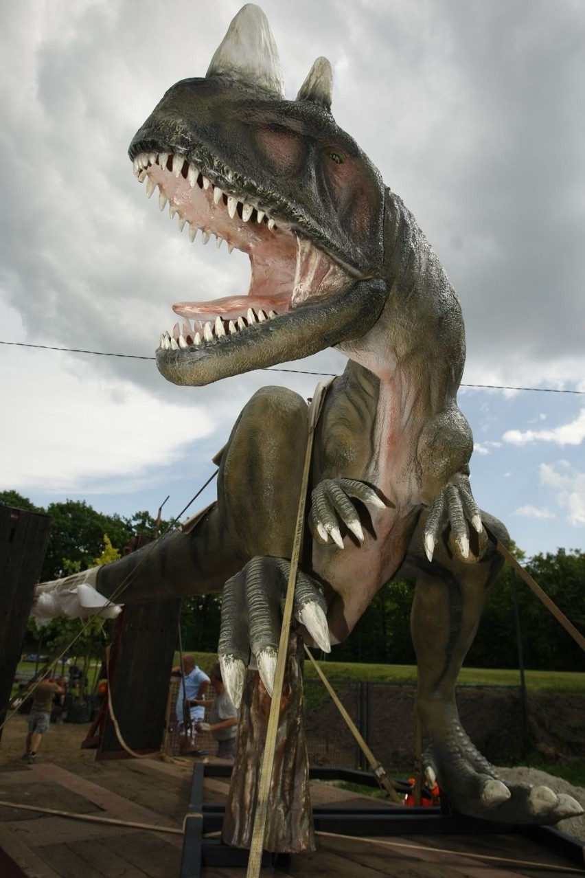 Wrocław: Obok zoo powstał park dinozaurów (ZDJĘCIA)