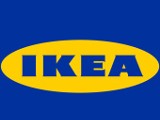 Ikea w Świlczy - dzisiaj decyzja ws. powstania sklepu