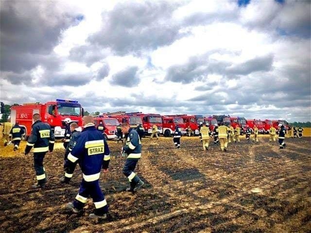 35 hektarów pól spłonęło pod Słupskiem w niedzielę,...