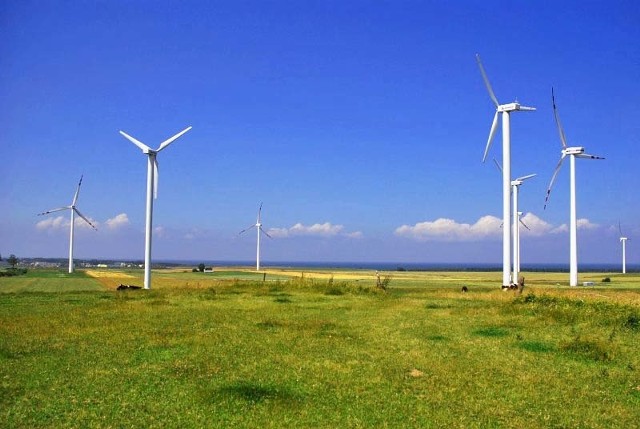 Pierwsze wiatraki powstaną w Rosochach już w połowie przyszłego roku. Kolejne elektrownie znajdą się w Lipowej, Okalinie, Gojcowie, Czernikowie.