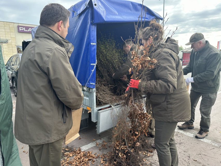 W Sandomierzu  trwa akcja  "Drzewko za surowce wtórne". Przyjdź po atrakcyjne sadzonki 