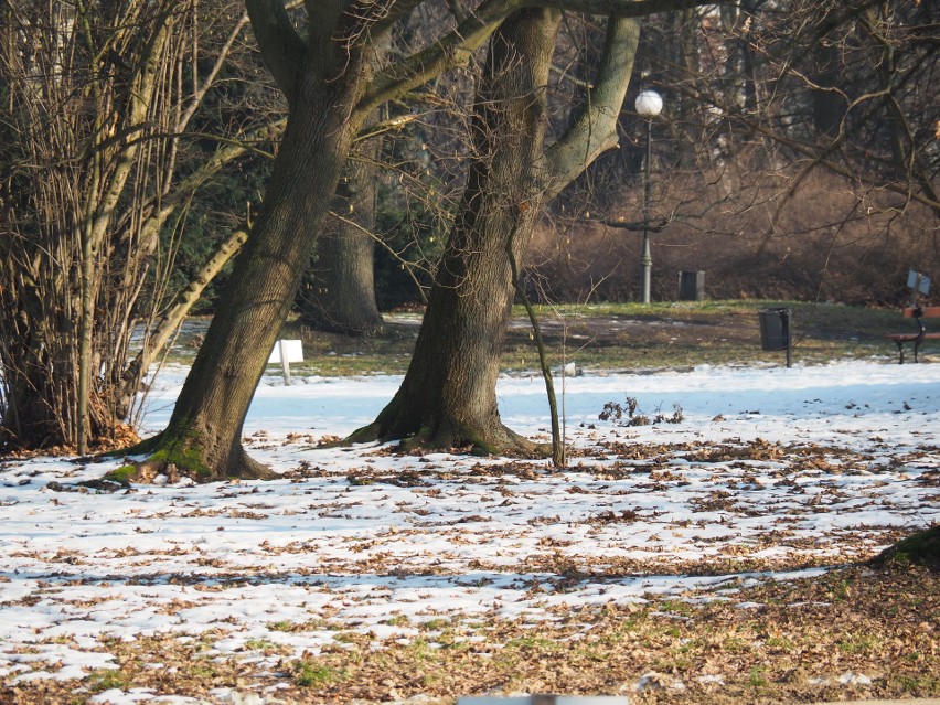 Pogoda w Łodzi na najbliższe dni. Do Łodzi dotarło ocieplenie, temperatura wzrośnie do 15 st. C 