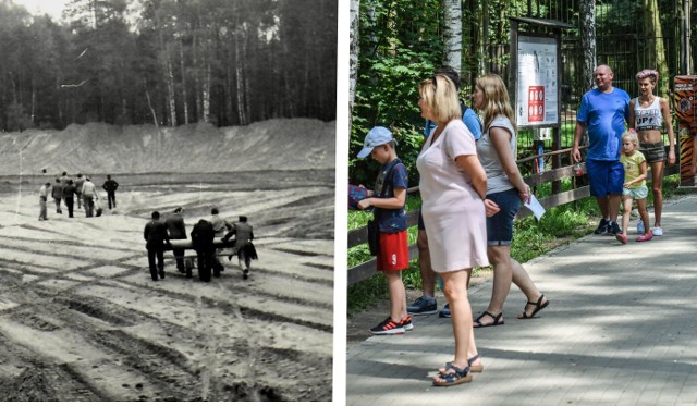 Decyzję o budowie zoo w Bydgoszczy podjęto w 1975 roku. Miało ono  specjalizować się w hodowli zwierząt rodzimych, polskich gatunków. Dlatego zoo nadano nazwę Ogród Fauny Polskiej. Oficjalne otwarcie nastąpiło 19 lipca 1978 roku.zobacz więcej informacji i archiwalnych zdjęć >>>Ważna inwestycja drogowa w Białych Błotach: