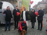 Walentynkowa akcja #sercedlaprzytulnych przed Hotelem Basztowy w Sandomierzu. Zobacz zdjęcia