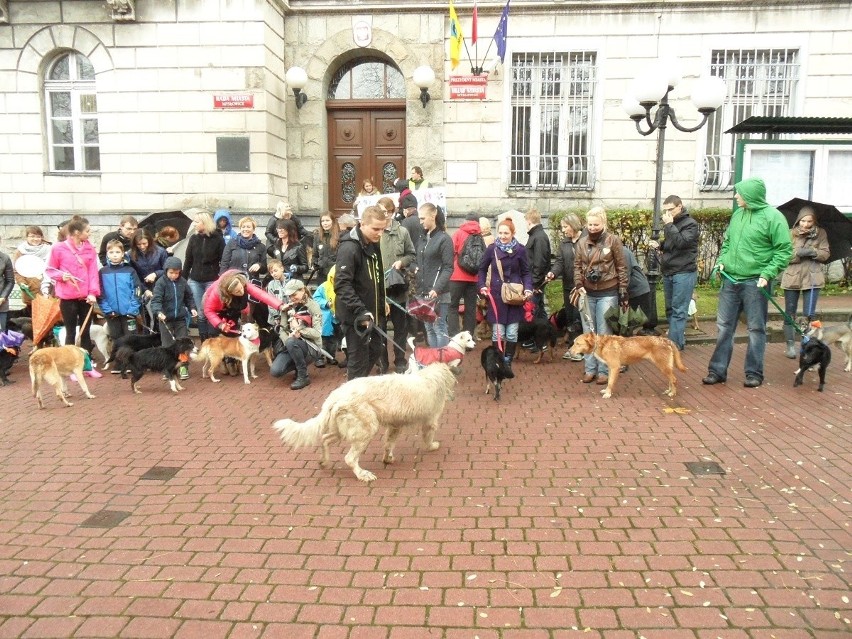 Parada kundelków Mysłowice