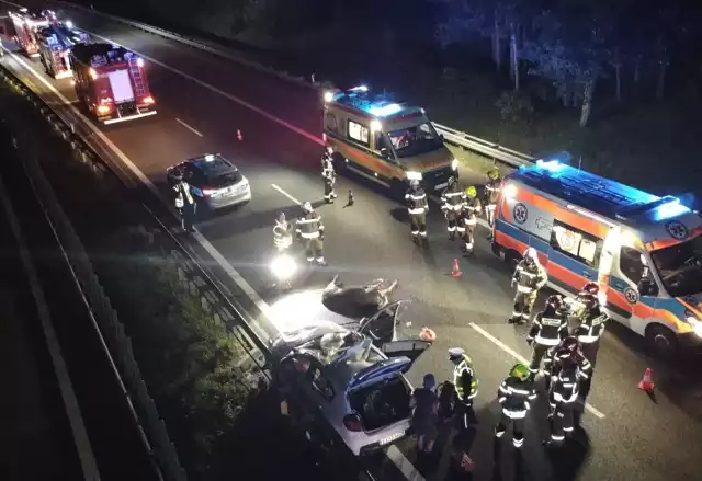 W Głuchowie na S7 samochód osobowy wjechał w łosia. Na miejscu kilka godzin pracowały służby.