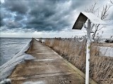 Tak wygląda natura nad Zatoką Gdańską. Sztormowe obrazki z Mikoszewa. Plaża i ostoja w ujściu Wisły z lekkim śniegiem i nutą wiosny 2023