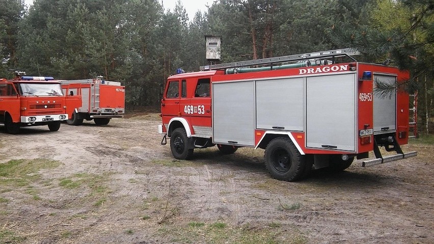 Gmina Magnuszew. Strażacy kilka godzin walczyli z pożarem lasu