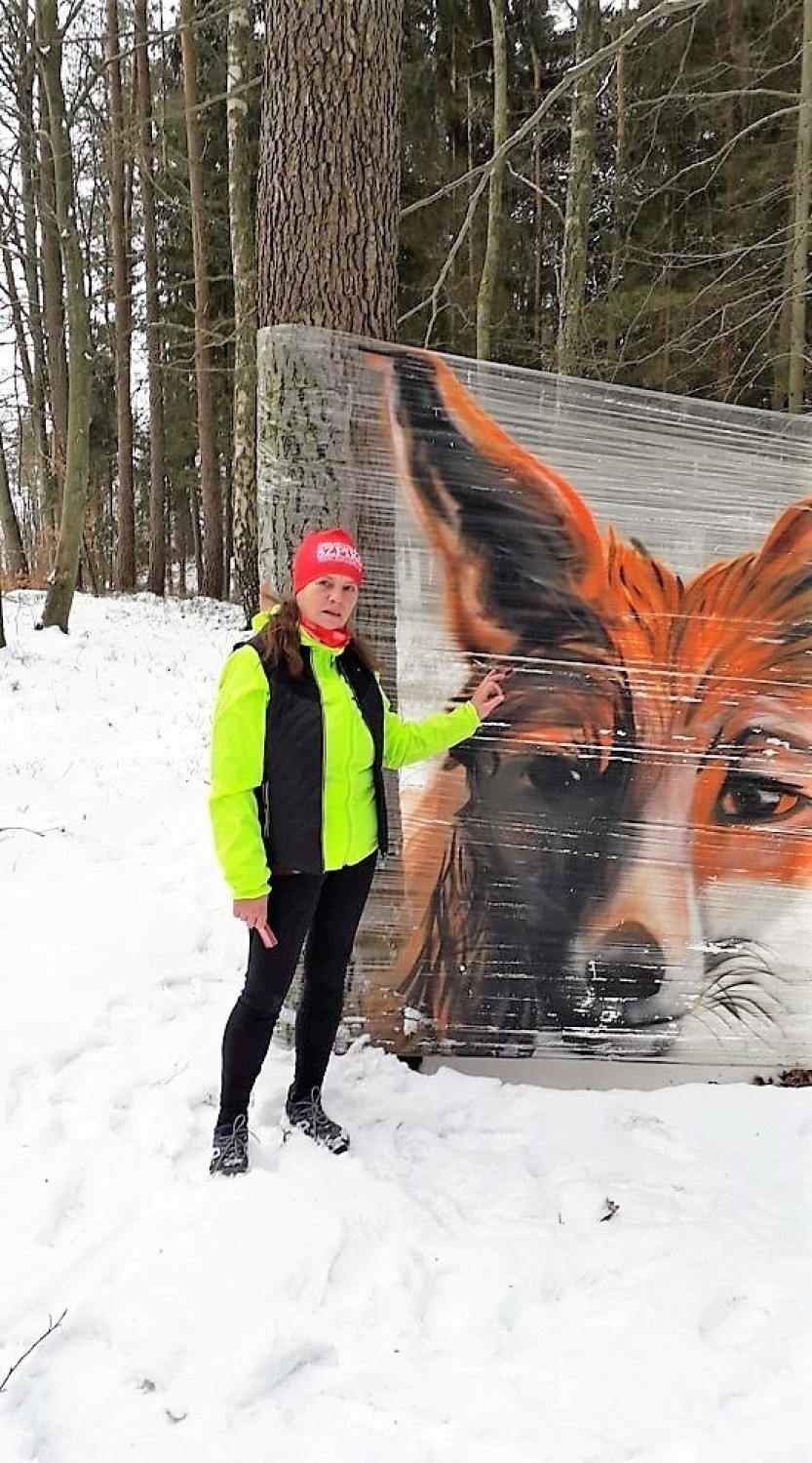Tajemniczy artysta ze Sławna maluje w lesie ogromne portrety zwierząt. Zdjęcia