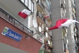 Opole w biało-czerwonych barwach. Zobacz, jak przyozdobiono balkony, klatki schodowe i urzędy [GALERIA]
