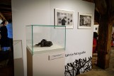 Niezwykła wystawa fotografii Edwarda Hartwiga w skansenie w Radomiu i tajemnica aparatu artysty odkryta przez Sebastiana Klochowicza