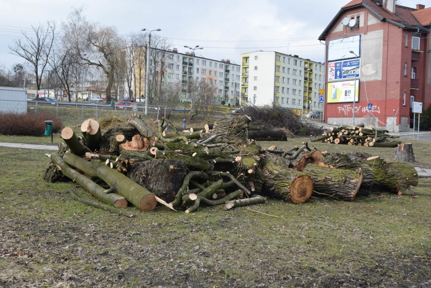 Tyle pozostało po pięknych drzewach na skwerach niedaleko...