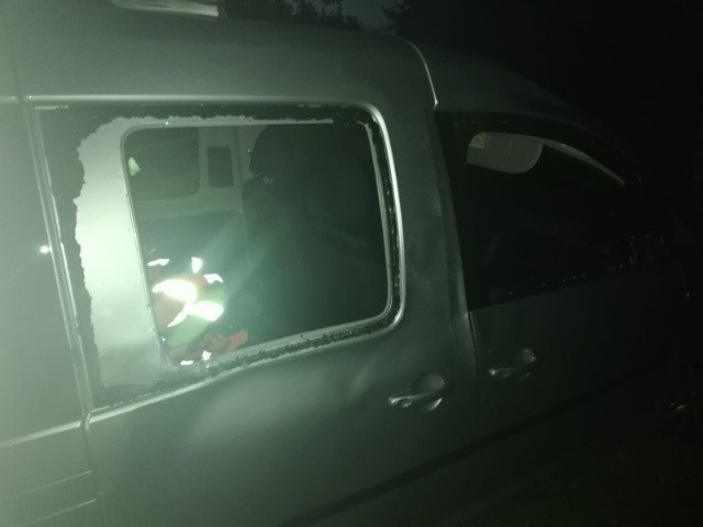 Nocne zderzenie samochodu z łosiem na drodze koło Skorzowa [ZDJĘCIA] 