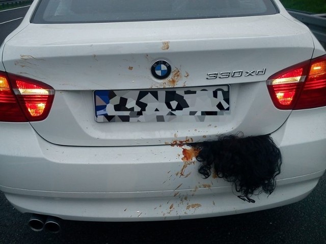 Kierowcy na siódemce zauważyli, że z bagażnika BMW wystają włosy.
