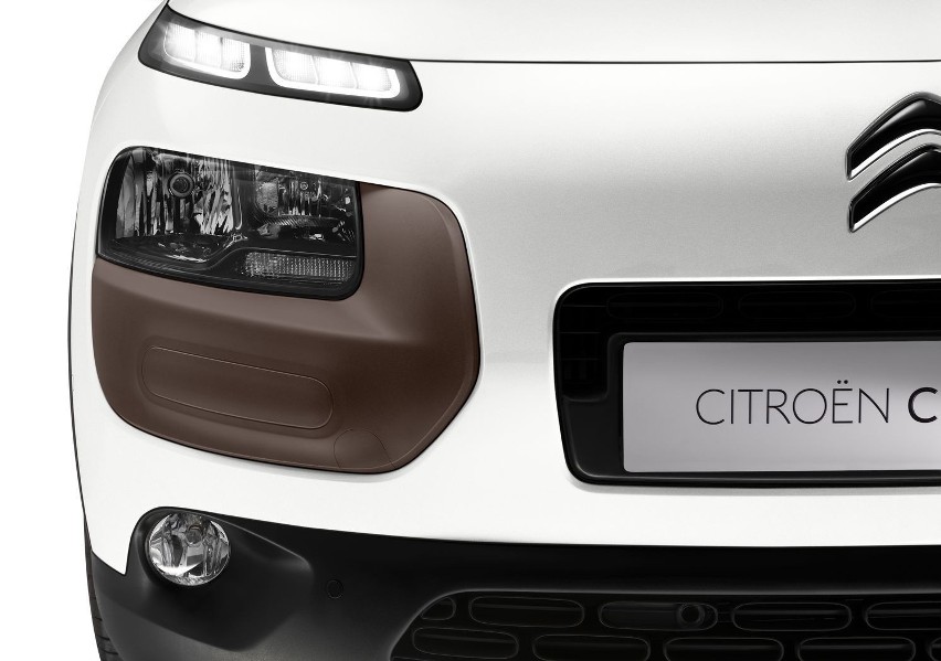 Citroen C4 Cactus
Fot: Citroen