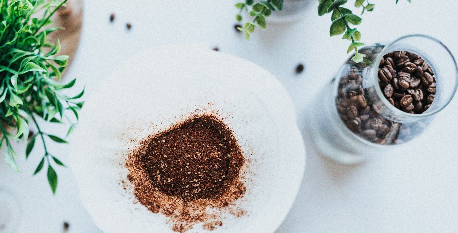 Nie wyrzucaj do kosza fusów z kawy. Przetestuj genialne domowe triki z  czarną kawą. Sprawdź, jak ponownie wykorzystać fusy z kawy w domu | RegioDom