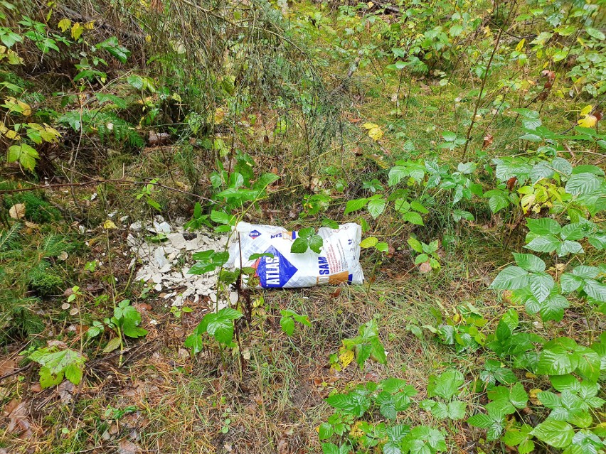 Regipsy, płytki i cement. Ktoś wyrzucił śmieci do lasu (wideo, zdjęcia)