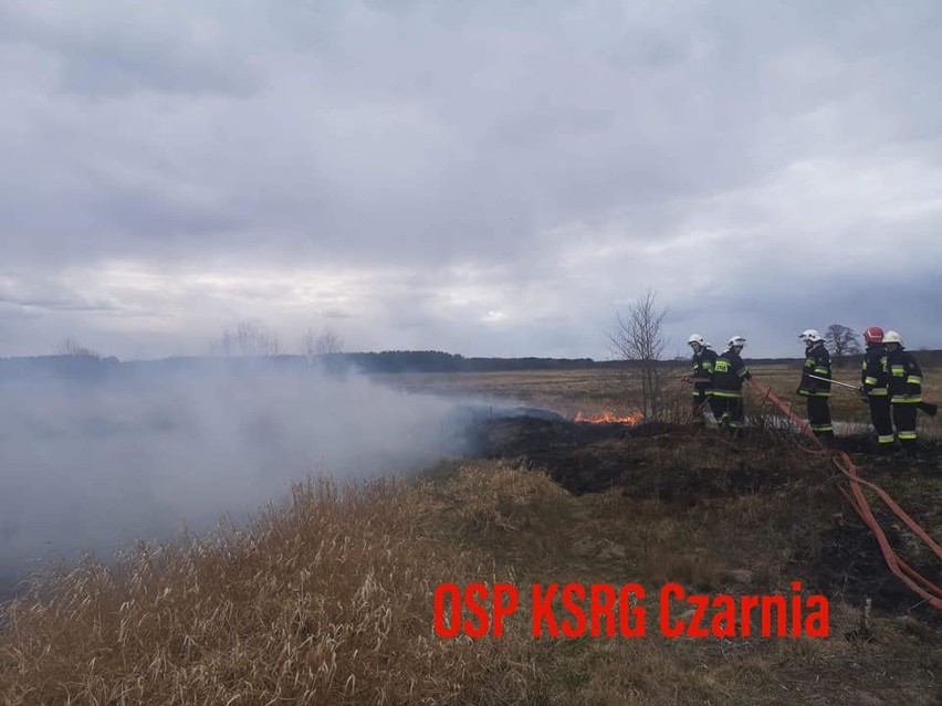 Powiat ostrołęcki. Wypalanie traw. We wtorek 14.04.2020 strażacy wyjeżdżali do nich trzykrotnie. Zdjęcia