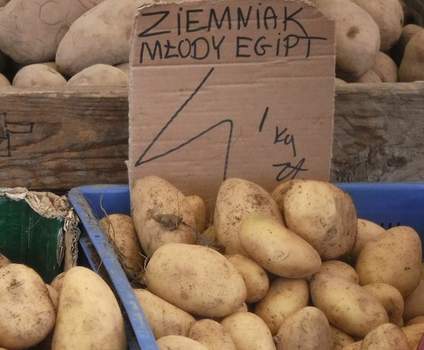 Młode ziemniaki były w cenie 4 złote za kilogram