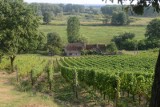 Winobranie 2018: Winobusem do lubuskich winnic na Festiwal Otwartych Winnic [ROZKŁAD JAZDY WINOBUSÓW, BILETY]
