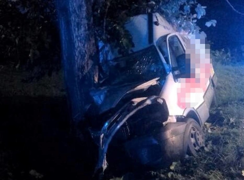 Dostawcze auto marki Iveco uderzyło w przydrożne drzewo w...