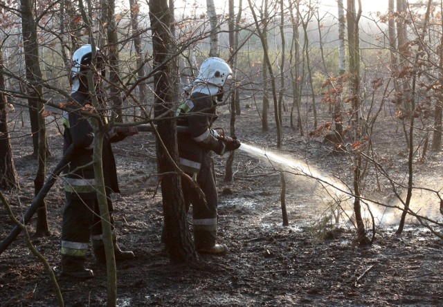 Trzeci, najwyższy stopień zagrożenia pożarowego obowiązuje w lasach regionu radomskiego od czerwca 2015 roku.