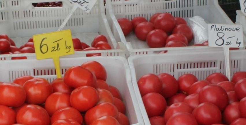 1 kg pomidorów 3,50-7 zł
