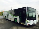 Bielsko-Biała: Autobus Energetyczny nad Białą