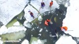 Cztery orki, w tym jedno młode, utknęły pod krą w Rosji [wideo]