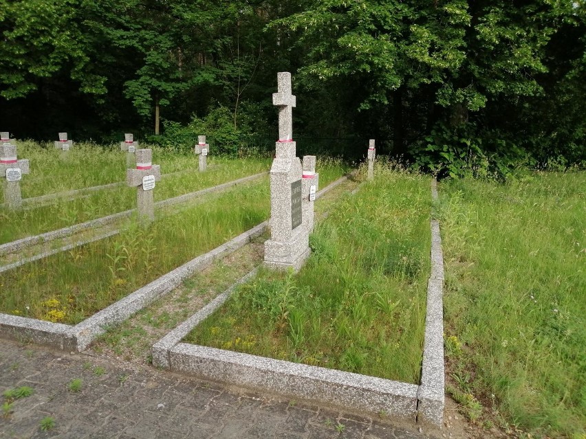 81. rocznica bitwy nad Bzurą. Cmentarz wojskowy w Guźni [ZDJĘCIA]
