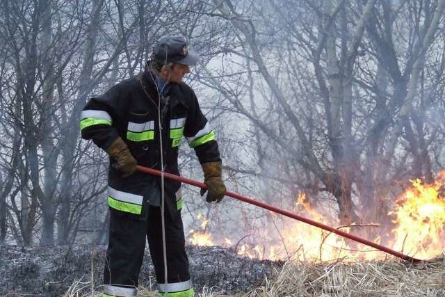 Strażacy przyznają, że okres wczesnowiosenny sprzyja zwiększonej liczbie pożarów traw. Do wielu dochodzi wskutek umyślnych bądź nieumyślnych podpaleń