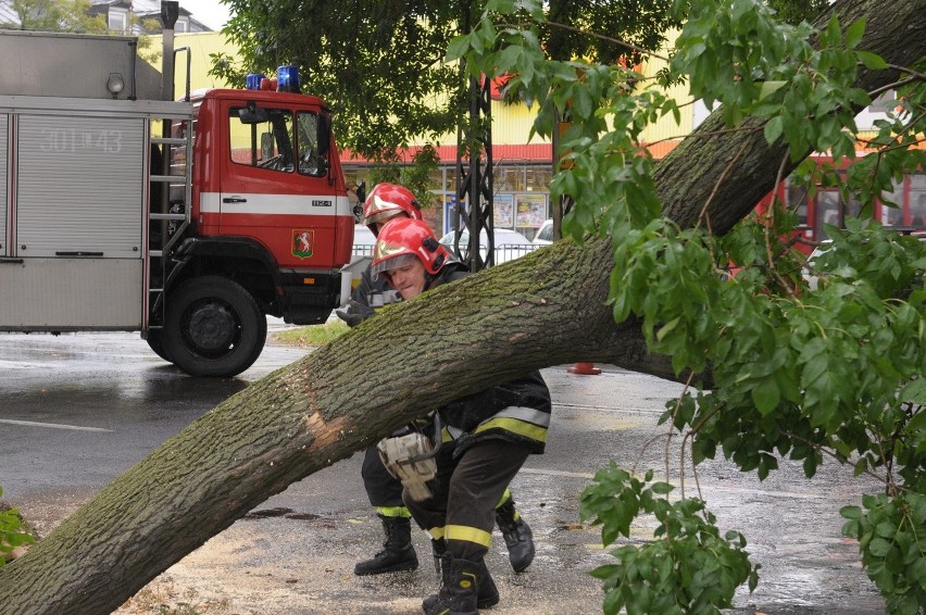 Ul. Zamojska w Lublinie: Strażacy usunęli wielki konar...