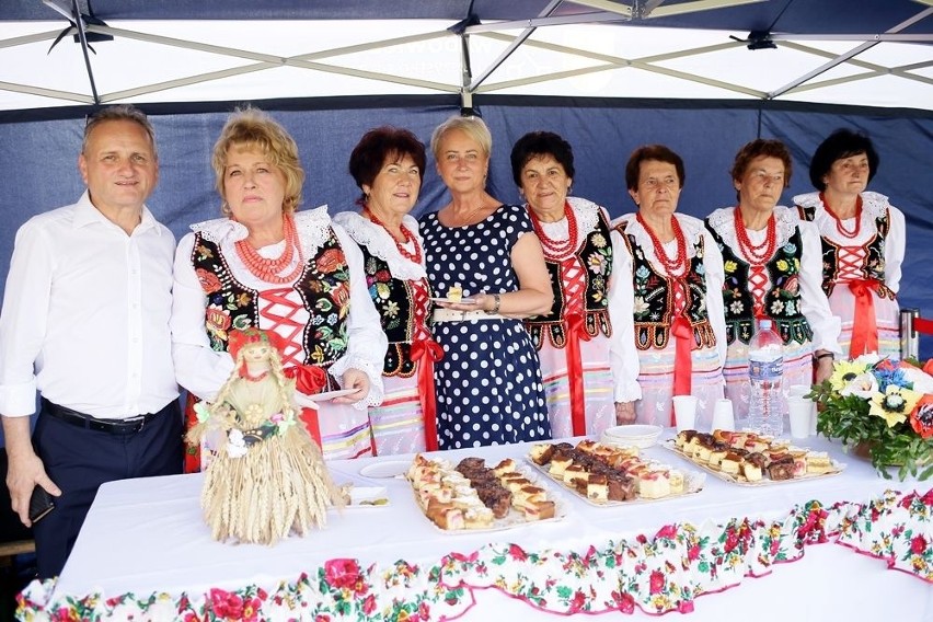 W Wadowicach odbył się piknik organizacji pozarządowych