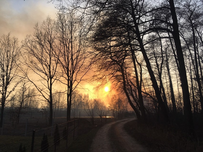 Palą się trawy w przysiółku Gęsiówka w Jasionce. Jest duży...