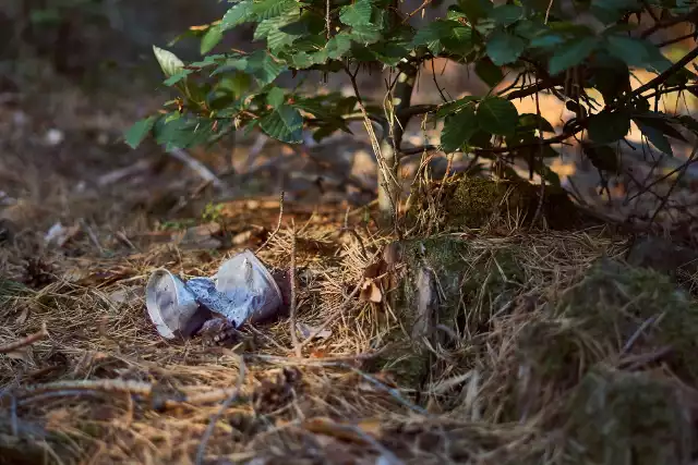 Kary za zaśmiecane środowiska leśnego zostały zaostrzone. Warto rozróżnić, o jakim zaśmiecaniu mowa. Wyrzucenie plastikowych butelek lub worków będzie traktowane jako wykroczenie, grozi za to grzywna nawet do 5000 zł. Z kolei przywiezienie kontenera i większych ilości śmieci uważane jest za składowanie odpadów, tu oprócz grzywny może grozić areszt.