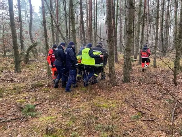 W lesie pod Rogowem odnaleziono zaginionego mężczyznę. Zobacz zdjęcia z akcji >>>