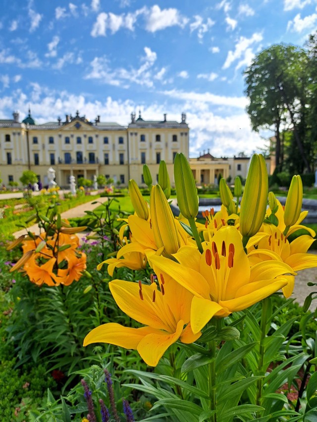 Pałac Branickich w otoczeniu kwiatów