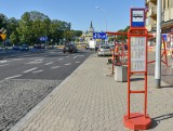 Trzeci zielony przystanek w Białymstoku stanie przy ul. Pałacowej (zdjęcia)