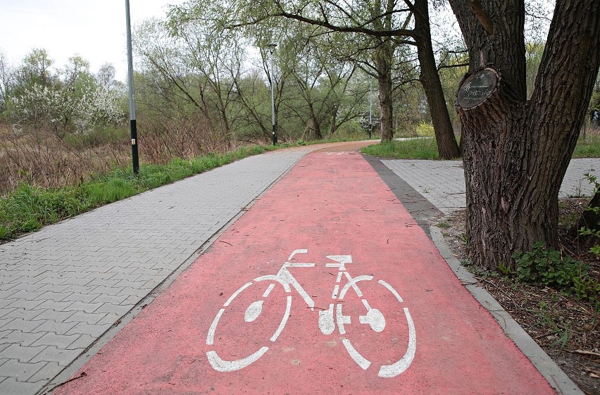 Kraków. Zobacz, jak wygląda Park Rzeczny Wilgi. Ekologom się nie podoba - z powodu betonu [ZDJĘCIA]