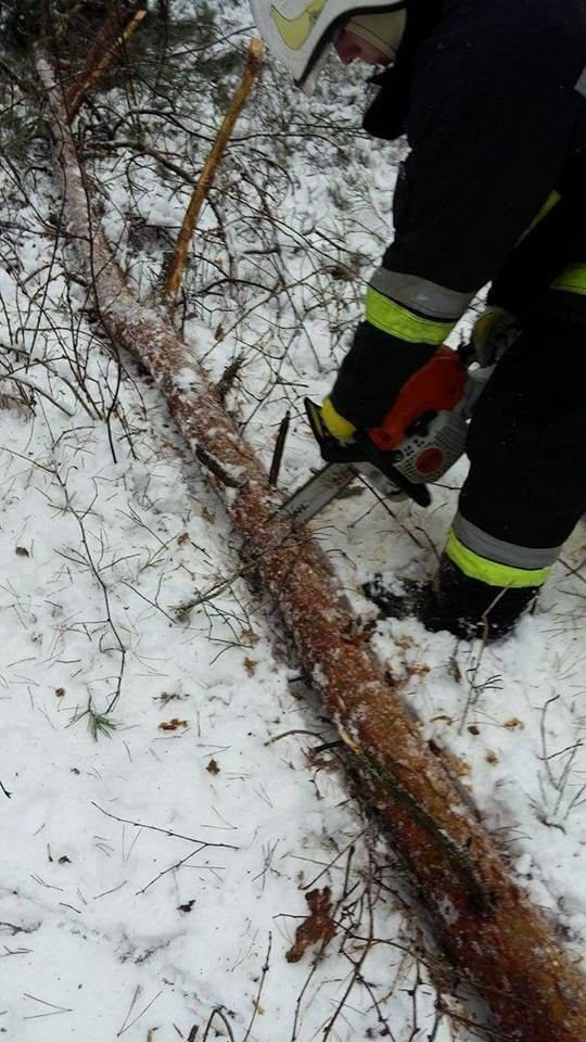 1 grudnia był pracowitym dniem dla strażaków z OSP Stary...