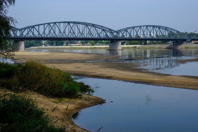 Obejmująca niemal całą Europę susza jest określana przez naukowców jako najpoważniejsza od 500 lat. Z perspektywy logistyki i łańcuchów dostaw, zakłócenia w największym stopniu dotknęły możliwości transportowania towarów barkami na rzece Ren, która przepływa przez Niemcy i Holandię.