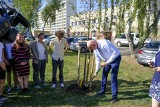 Młodzieżowa Rada Miasta Torunia zorganizowała piknik, na którym posadzili drzewa 