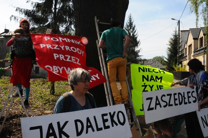 Kraków. Kolejny etap budowy Trasy Łagiewnickiej. Wycinają drzewa [WIZUALIZACJE, ZDJĘCIA]